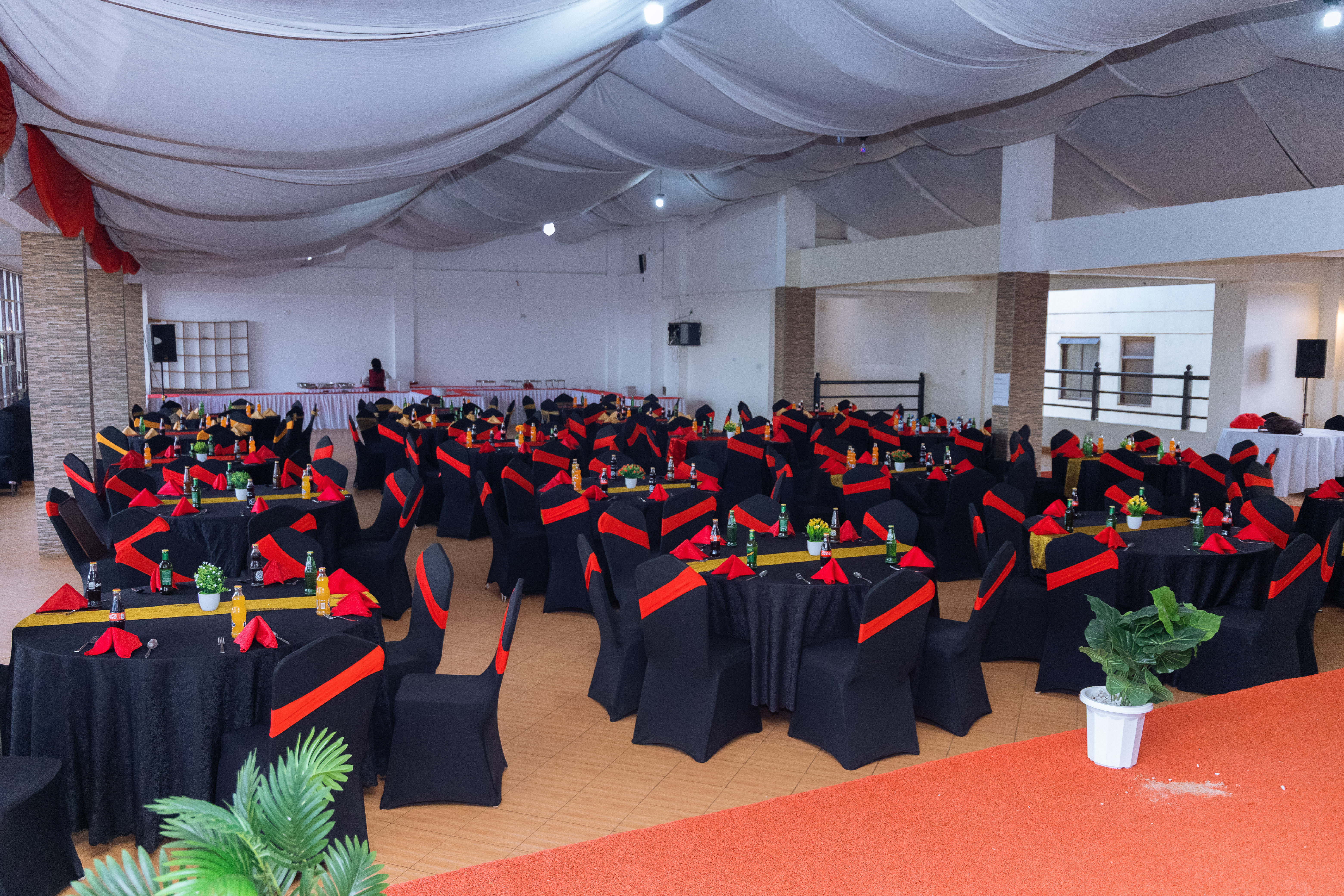 Elsa Hotel Ball Room